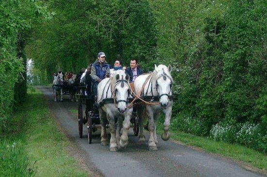 La Ferme des Hayes